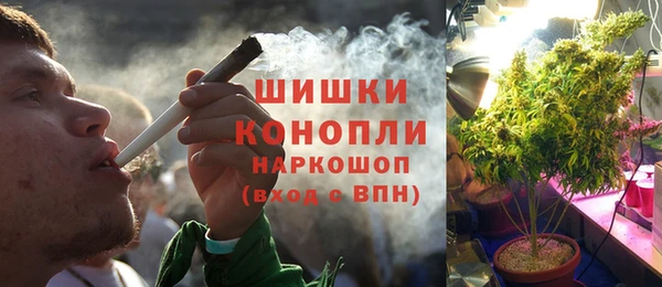 дмт Аркадак