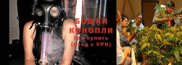spice Алексеевка