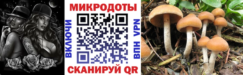 Галлюциногенные грибы прущие грибы  наркота  Новошахтинск 